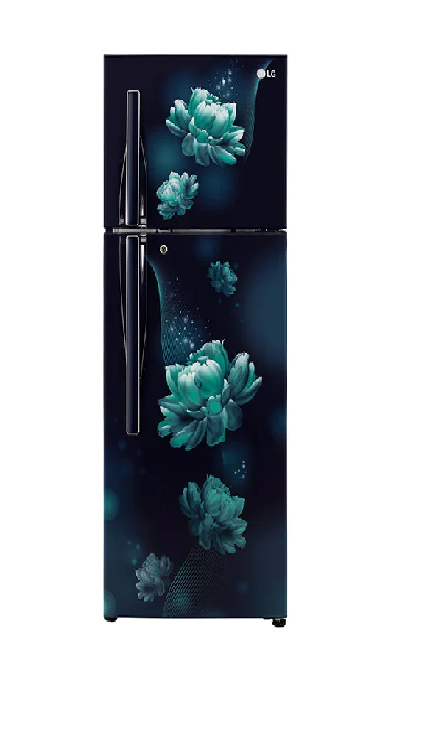 Picture of LG Fridge GLS302RBCX